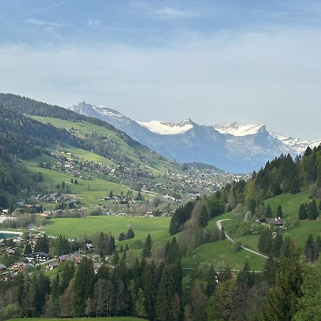 Chalet Saint Victor, Praz Sur Arly Exterior photo